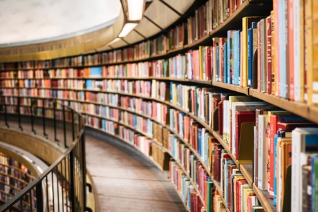 Shelves with books