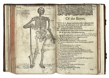 A description of the body of man. By artificiall figures representing the members, and fit termes expressing the same
