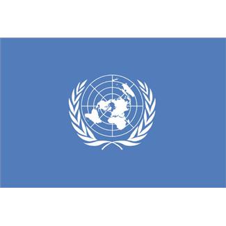 UN flag