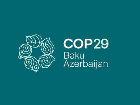 The teal and white COP29 logo