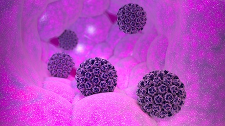The HPV virus