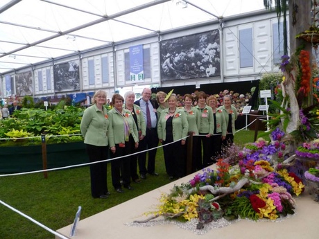 The SAFAS team at Chelsea Flower Show 2013