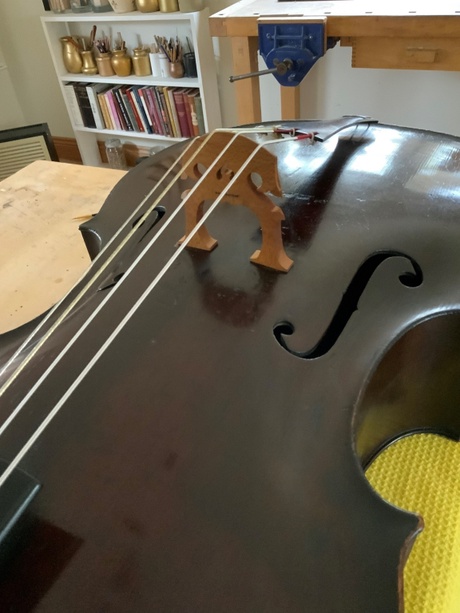 The restored cello with new Baroque bridge