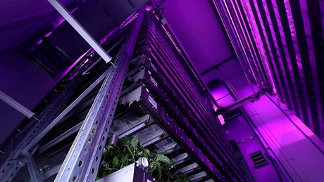 A vertical farm tower