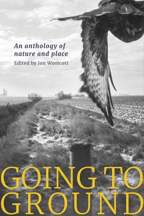 Front cover of the book "Going to Ground"