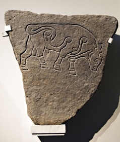 Pictish Stone Aberdeen University