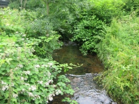 Poetry & Anthropology along Scotland's Small Urban Rivers