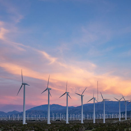 Wind farm in sunset