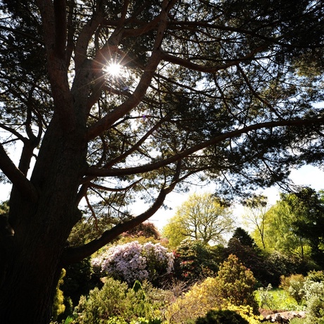 A photograph of Cruickshank Gardens on a sunny day