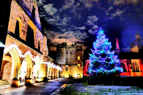 Christmas tree at dusk on campus