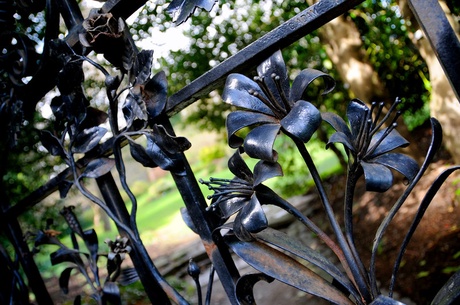 Gate to Walled Garden in Cruickshank Botanic Gardens