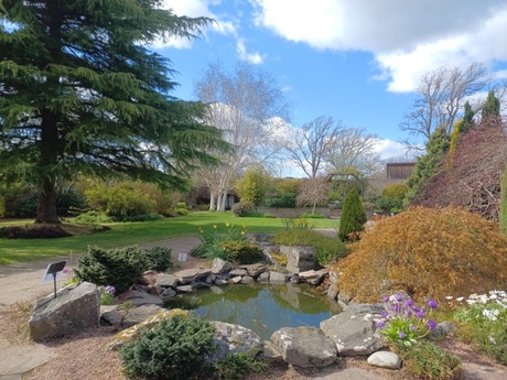 Image of outdoor area of Inverness Botanic Gardens showing a pond surrounded by grass, plants and trees.