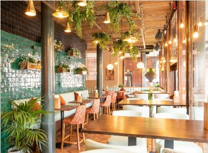 Interior image of The Stable showing a row of tables with seats. The Venue bright and decorated with both hanging plants and lights.