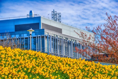 Exterior photo of The Rowett Institute