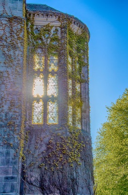 Side view of New Kings building clad with ivy