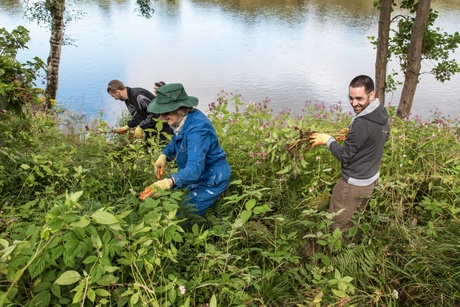 A group of people smiling and clearing brush on the banks of the River Dee.