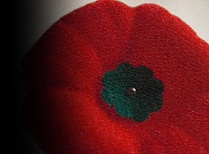 WW1 Poppy