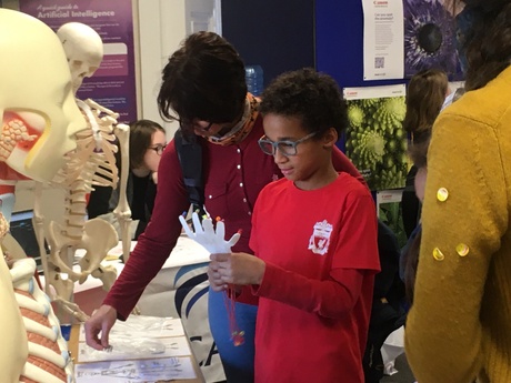 adult and child taking part in family friendly activity with skeletons