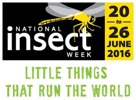 Insect week logo