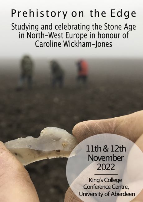 Foggy muddy field with a microlithic stone flake in foreground