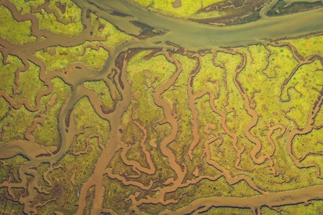 An aerial (vertical) of the saltmarsh at Tyninghame (Wingtra VTOL)