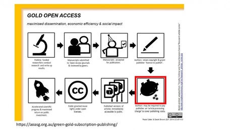 Predatory Publishers