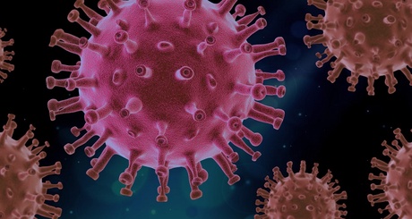 Picture of virus