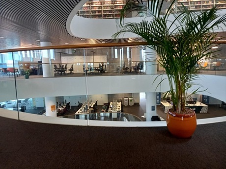 Image of Sir Duncan Rice Library interior. Fresh plant is featured at the front of atrium on Library floor.