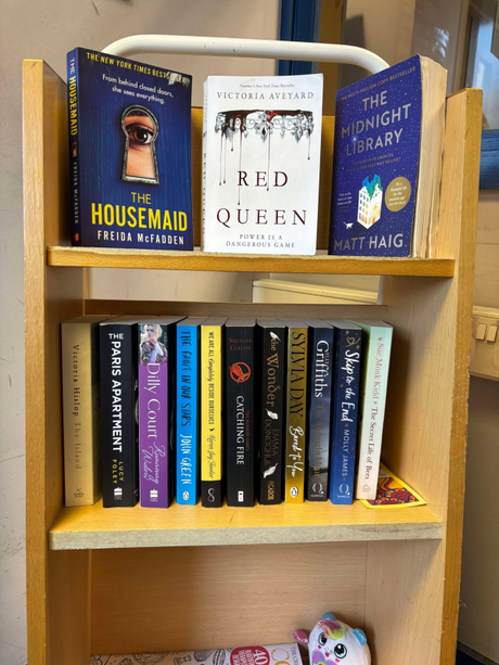 Wooden bookcase with books on display