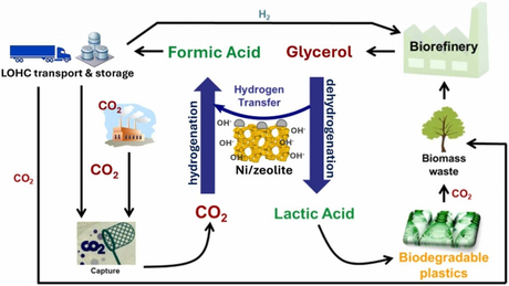 Graphical Abstract of conversion of CO2 to formic acid