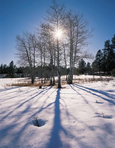 The benefits of sunlight on mood and health are the subject of a Cafe Med talk