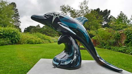 Oceanic Dance can be seen at the Cruickshank Botanic Garden