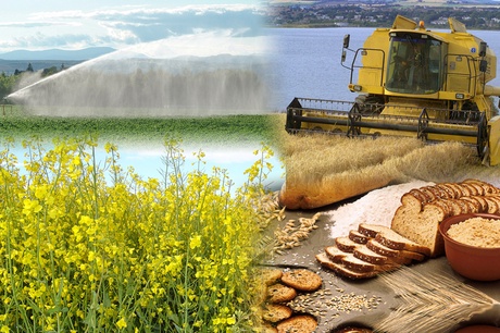 montage of food and agriculture images