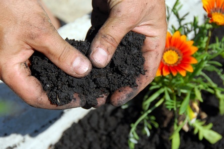 Soil and carbon stores