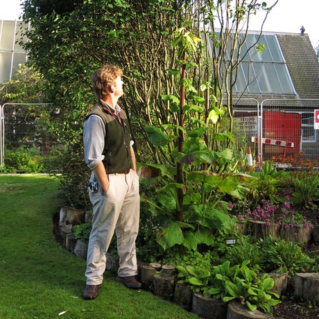 Mark Paterson and the giant lily