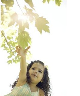 A Sense of Nature with the Natural History Centre