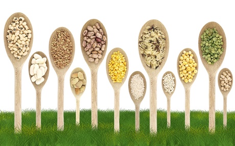 Volunteers are being sought for a study investigating whether food products containing lupin, buckwheat, broad beans and peas could be an alternative source of protein