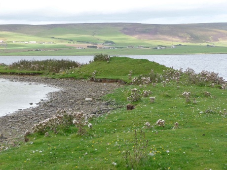 St Mary's Chapel mound on Damsay