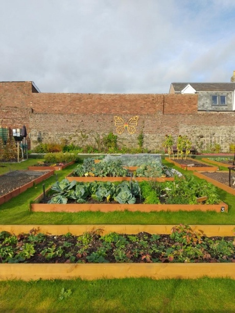 A community garden