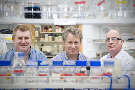 Professors Gordon Brown, Neil Gow and Al Brown