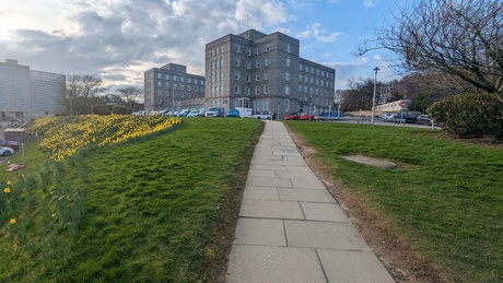 hospital building with grass in front of it