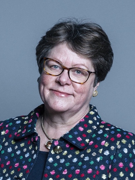 Head and shoulders image of Julia King against a blue background