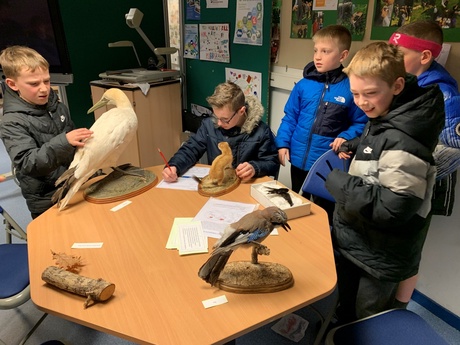 Four school boys round a table featuring a selection of animal exhibits