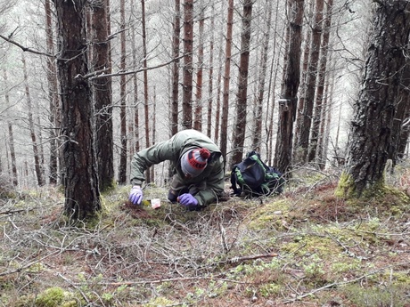 Jack in the woods setting the fake nests