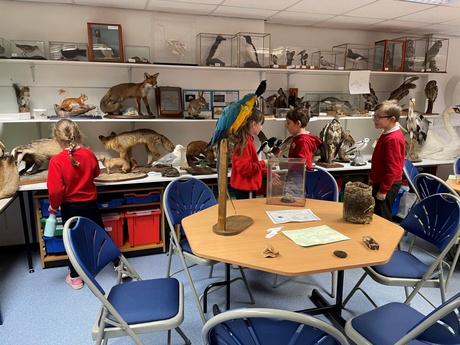 Boys and girls from Primary 3 looking at different types of beans and grains in glass bottles