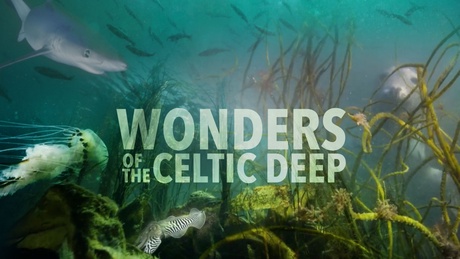 Professor Paul Mealor has created the soundtrack for Wonders of the Celtic Deep