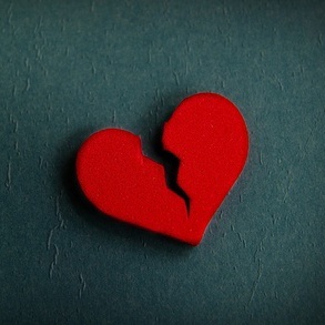 Model of a heart that is broken in half