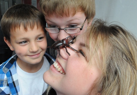 Science busker Gina and brothers James Rae (12), an S1 pupil at Turriff Academy and Xander (8), a Markethill Primary P4 pupil.