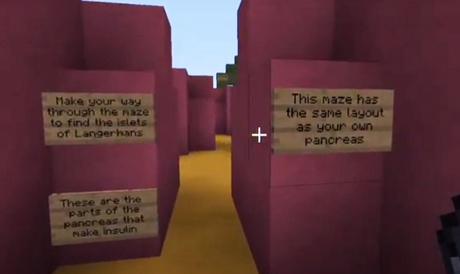 University of Aberdeen researchers have been using the computer game Minecraft to help children better understand diabetes