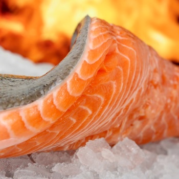 salmon fillet